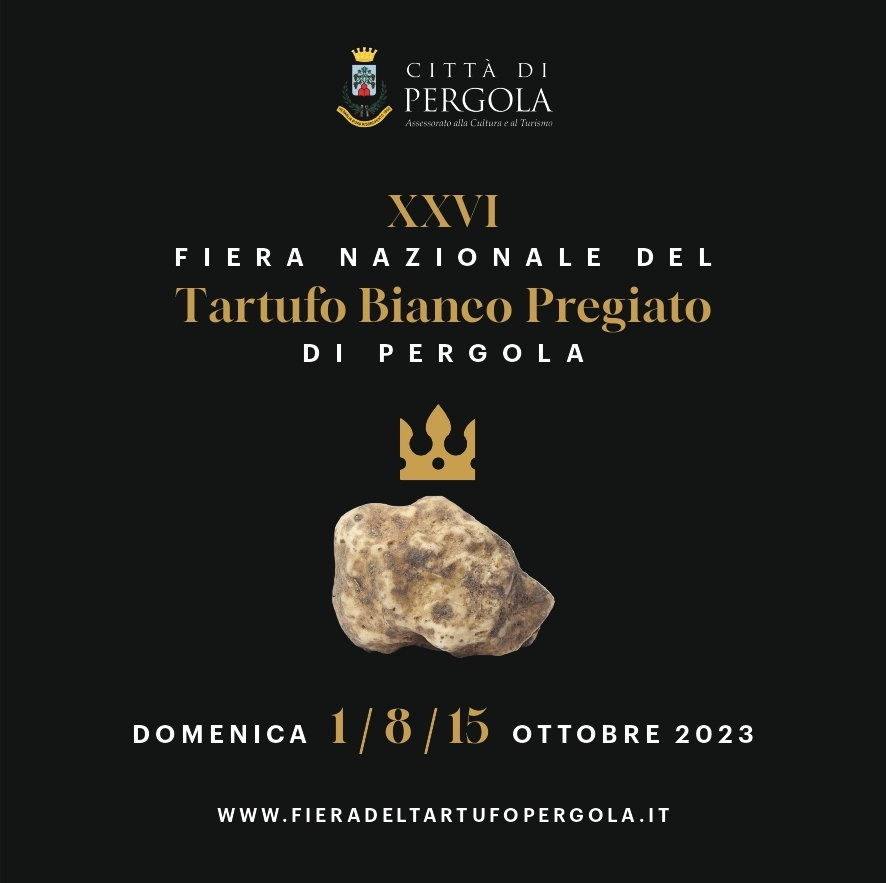 26^ Fiera Nazionale del Tartufo Bianco Pregiato