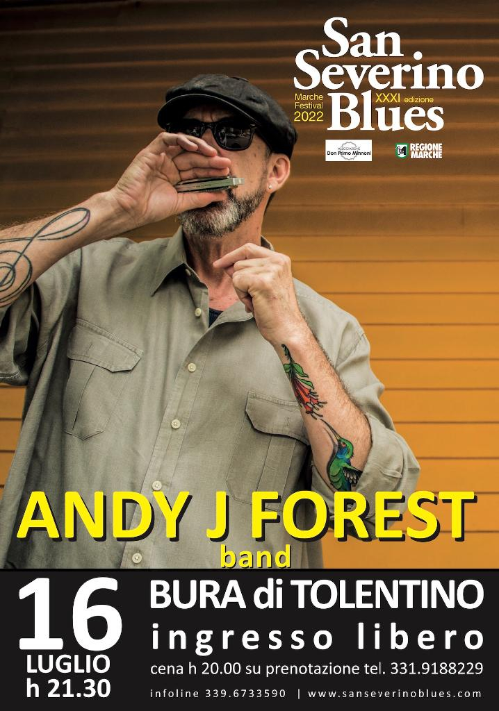 Andy J Forest band
