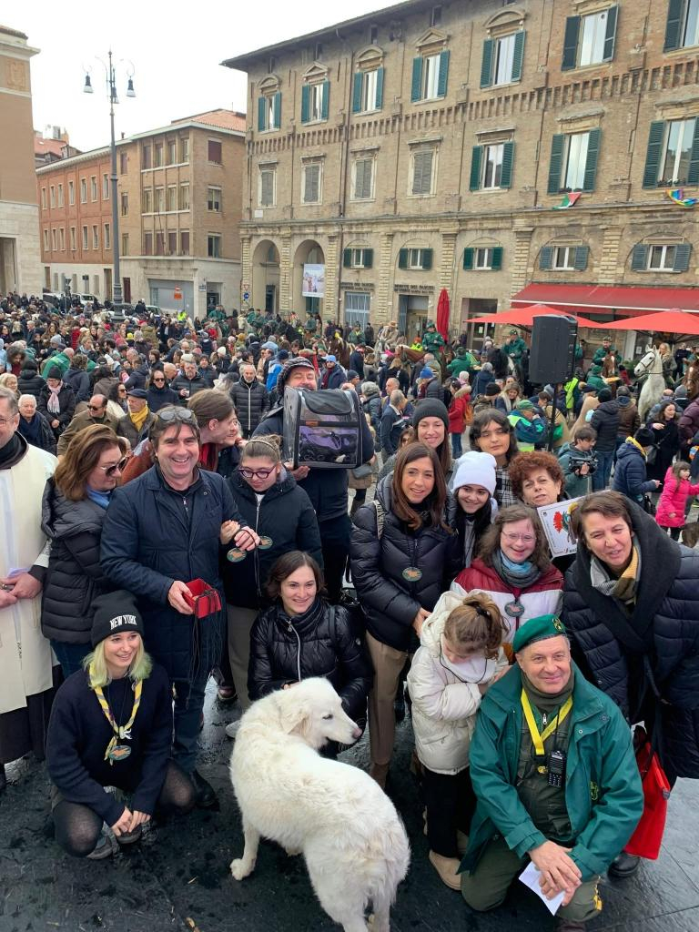 Benedizione degli animali