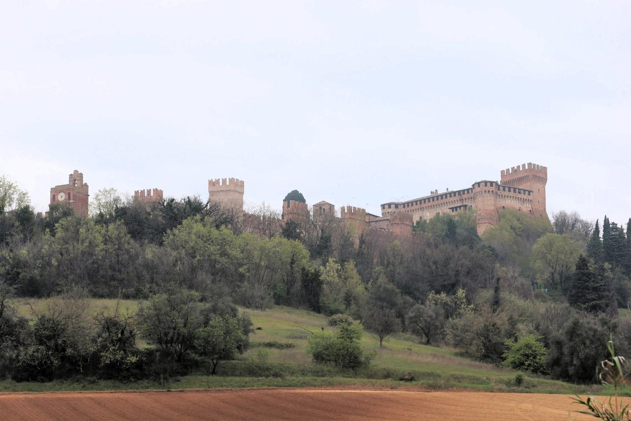 Borgo e bosco: i segreti della natura e della storia