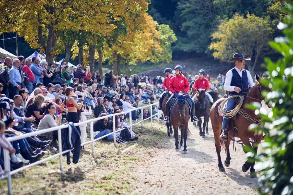 Cantiano Fiera Cavalli