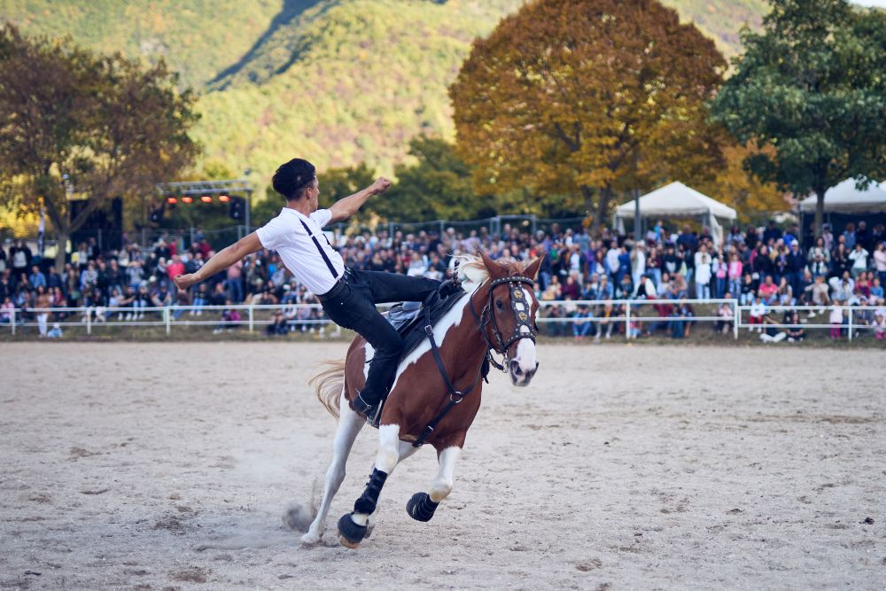 Cantiano Fiera Cavalli