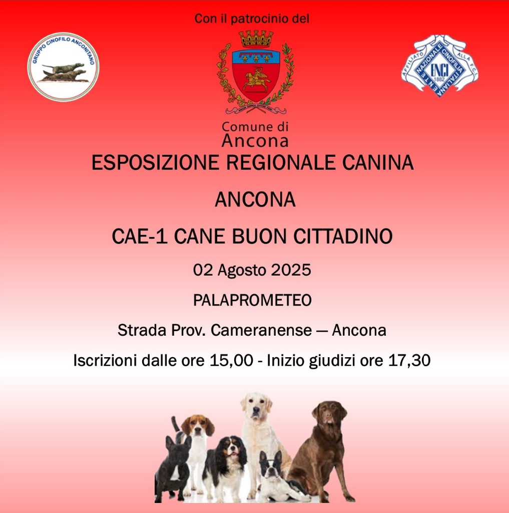 Esposizione regionale canina
