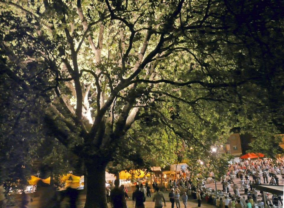 Festa della Quercia