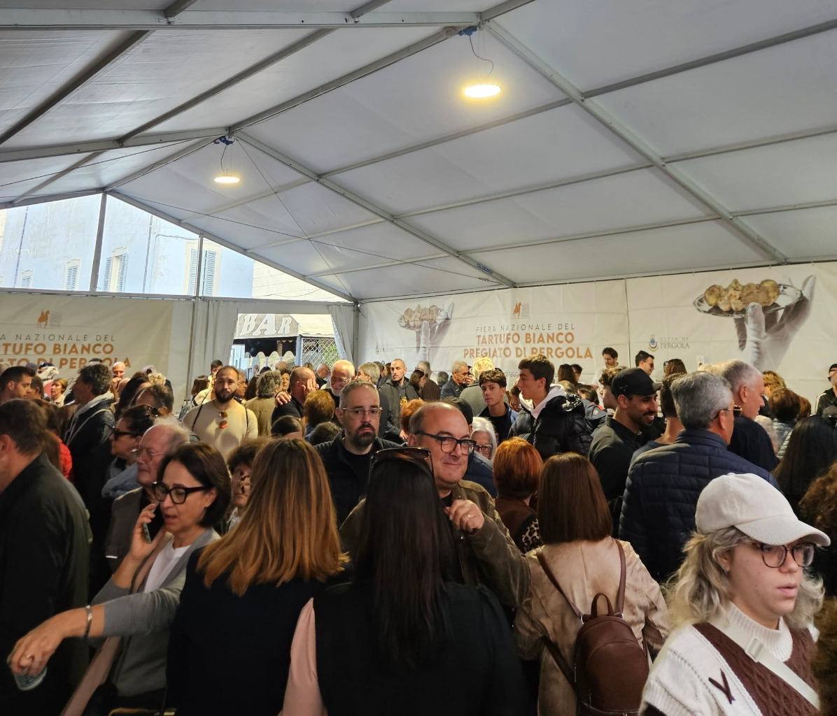 Fiera del Tartufo di Pergola