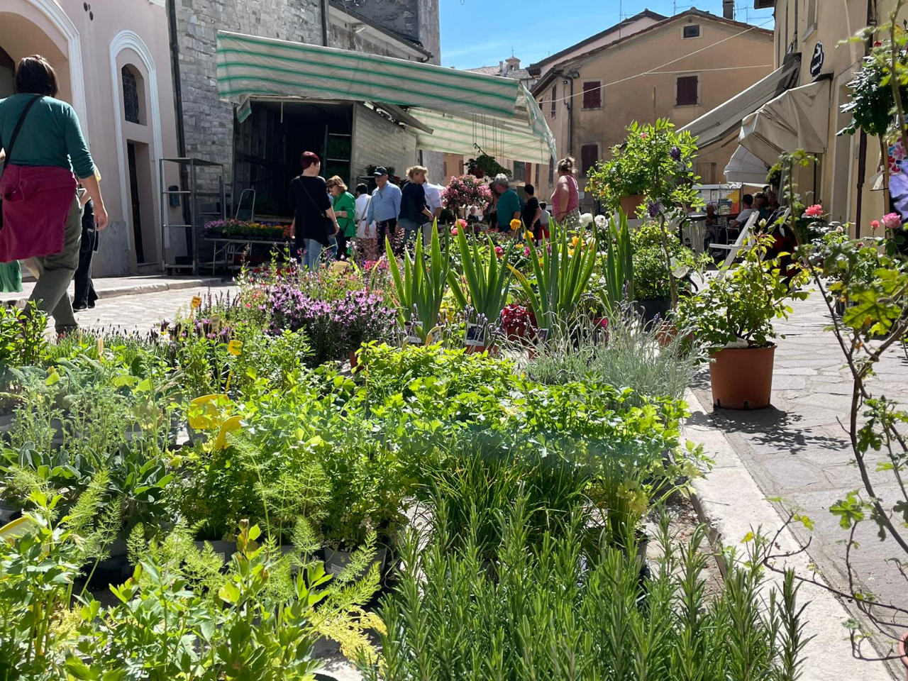 Fiera Mercato Verde