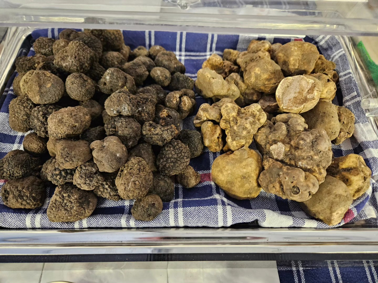 Fiera nazionale del tartufo bianco di Pergola
