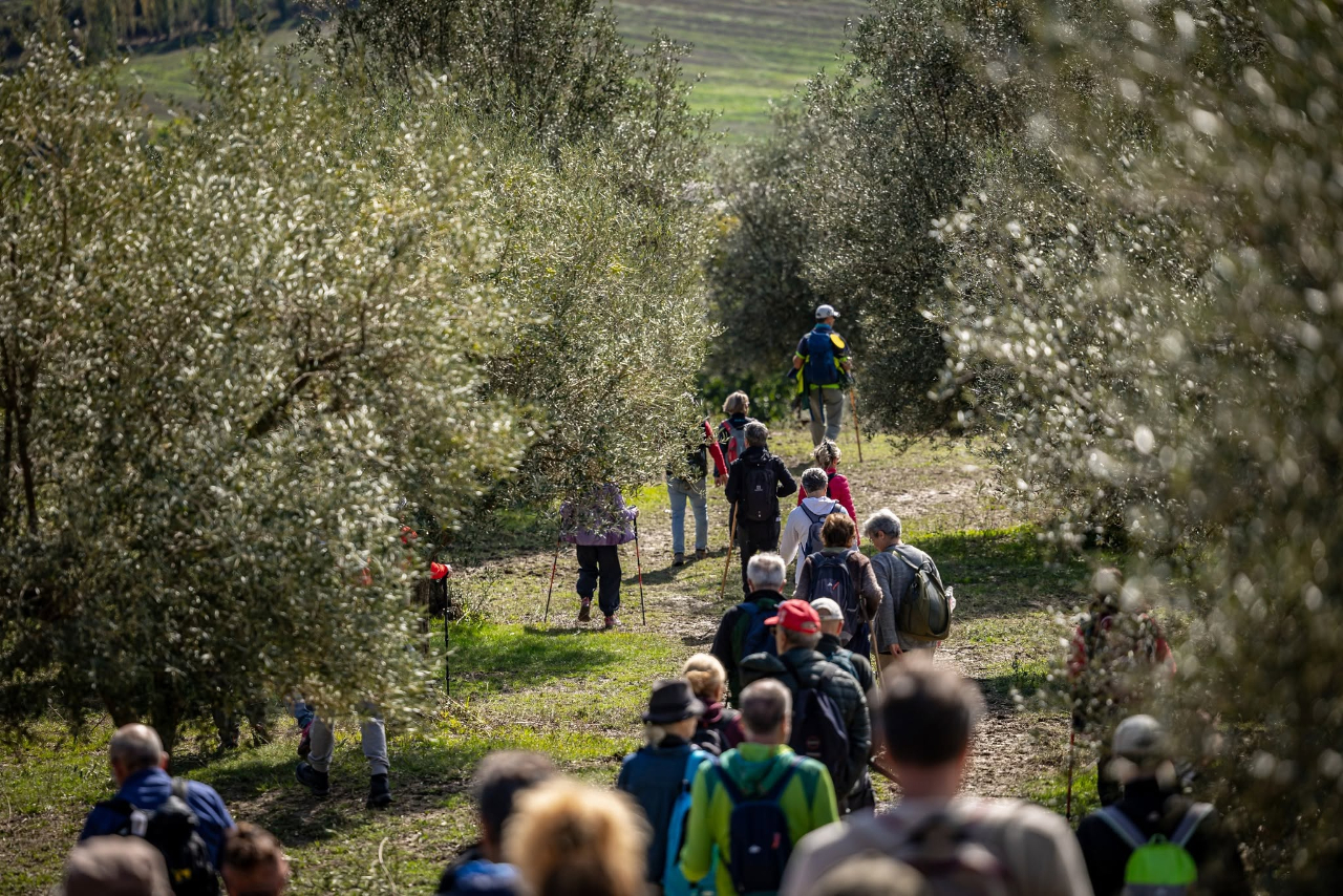 Frantoi Aperti in Umbria, terzo week end