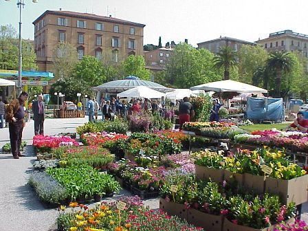 Giardino in fiore