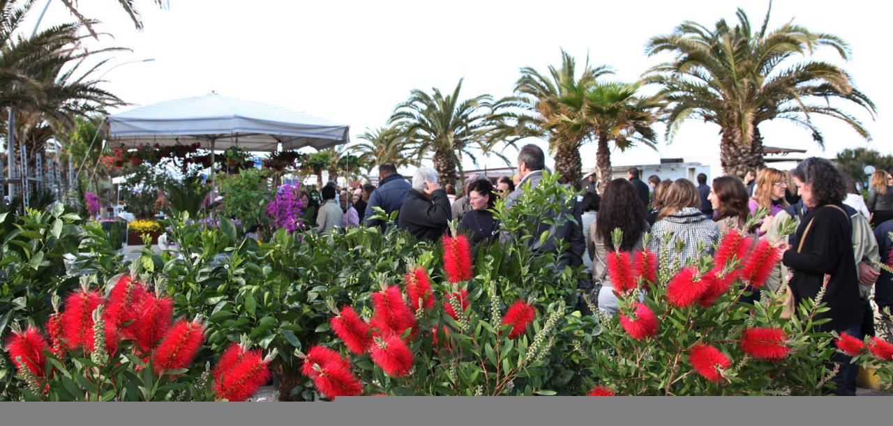 Il Mare in Fiore d'Autunno