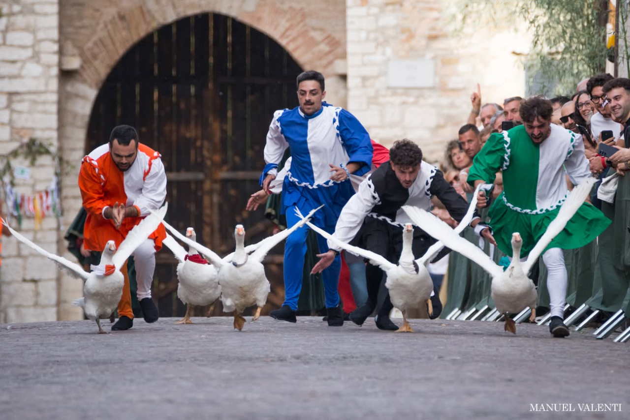 Il Palio della Rocca festeggia 40 anni