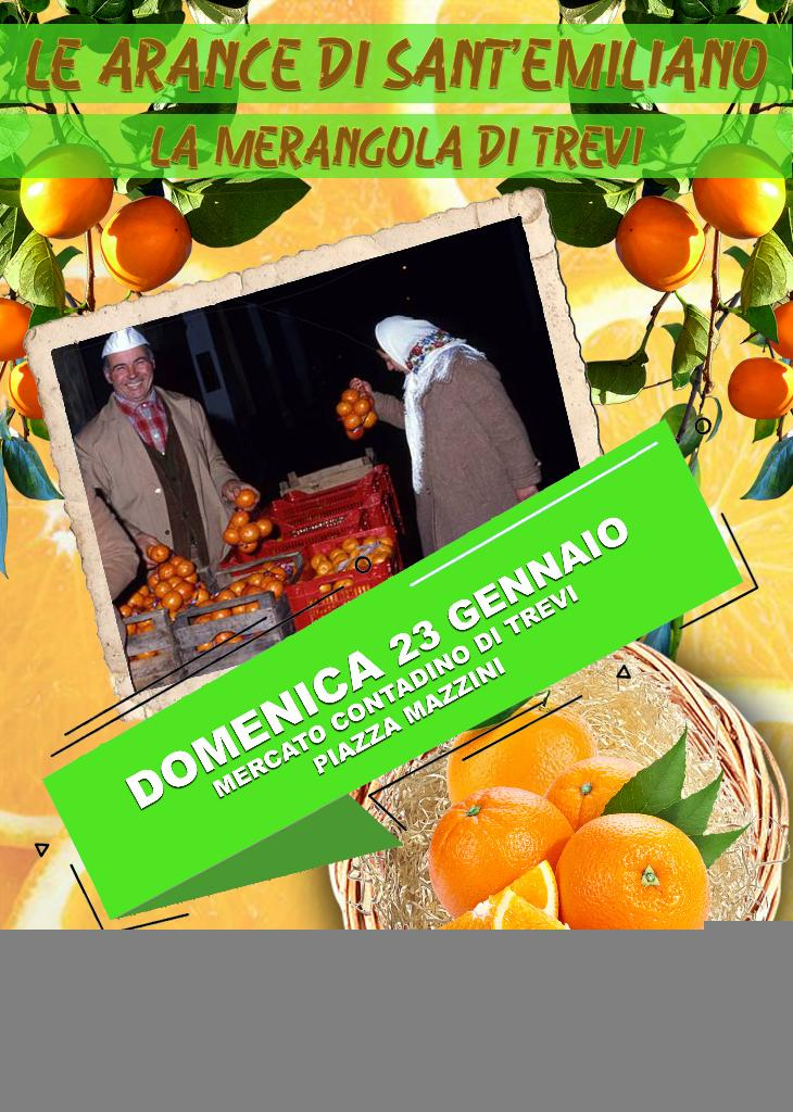 Le arance di Sant'Emiliano, la merangola di Trevi