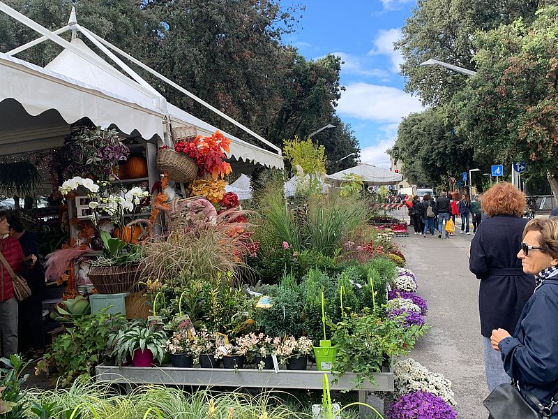 Mostra mercato dei fiori e delle piante ornamentali