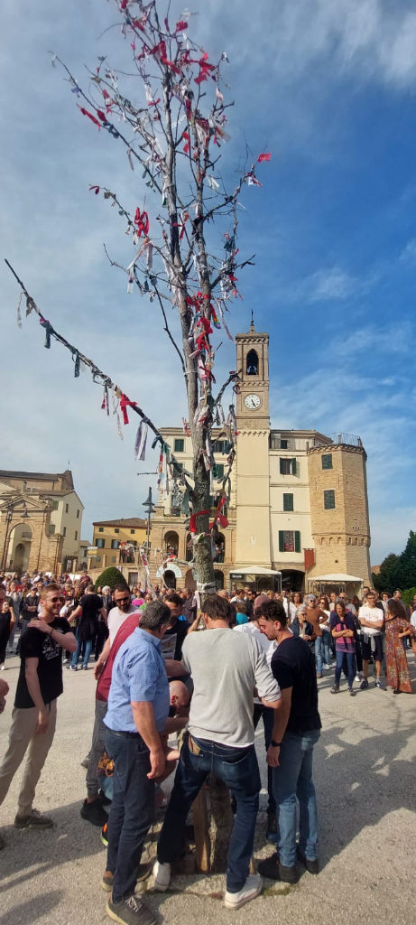 Rogo in piazza dell'albero del Maggio