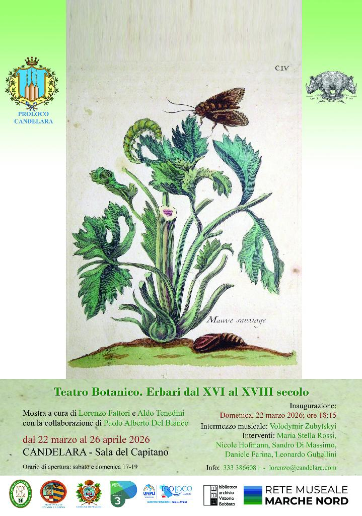 Teatro botanico, erbari dal XVI al XVIII secolo