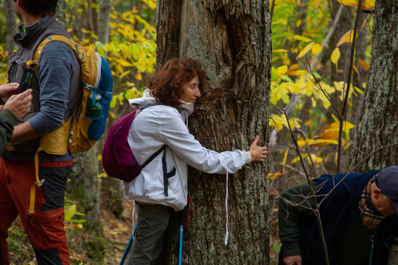 "Territori Forti e Fluidi” per il ponte di Ognissanti