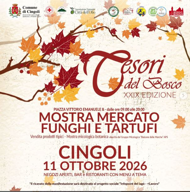 Tesori del bosco 2026