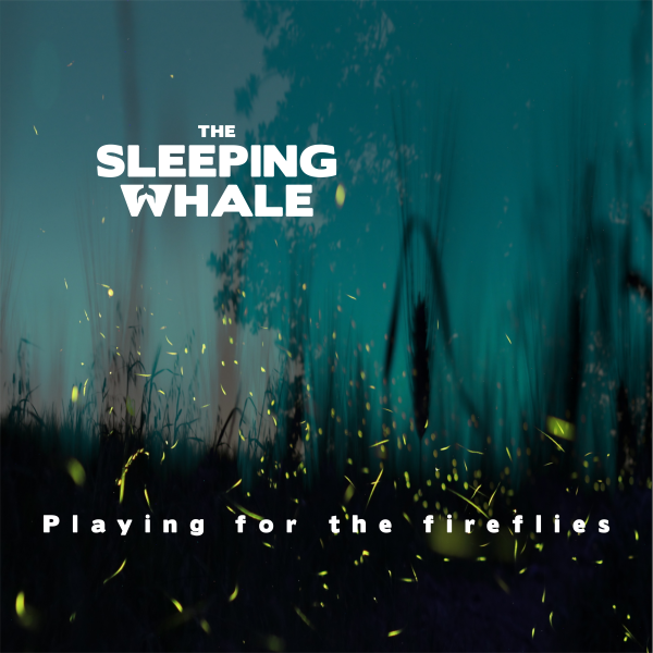 The Sleeping Whale