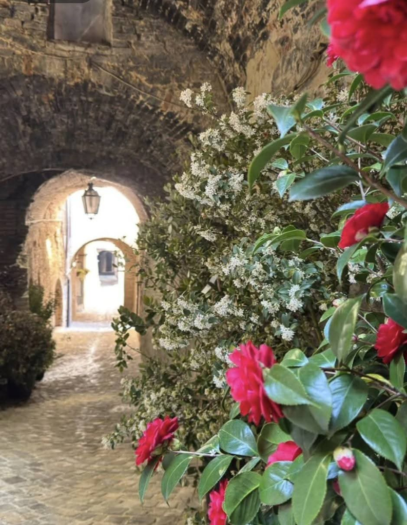 Treia celebra il patrono con il San Patrizio Festival